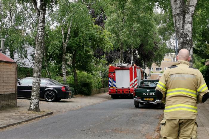 Loshangende takken door brandweer verwijderd
