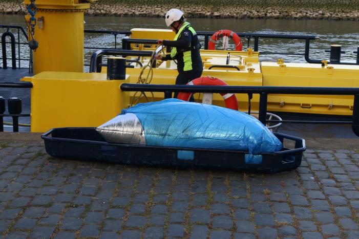 Zoekactie naar object in Voorhaven