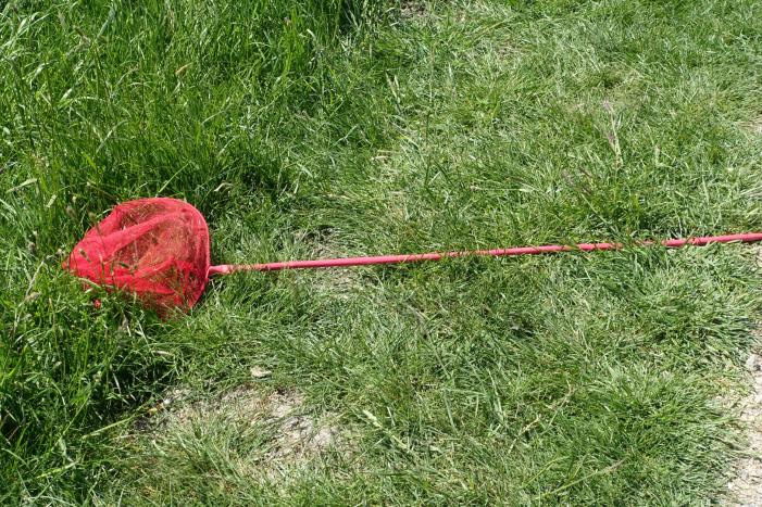 Grote zoekactie na aangetroffen kinderdriewielers langs waterkant