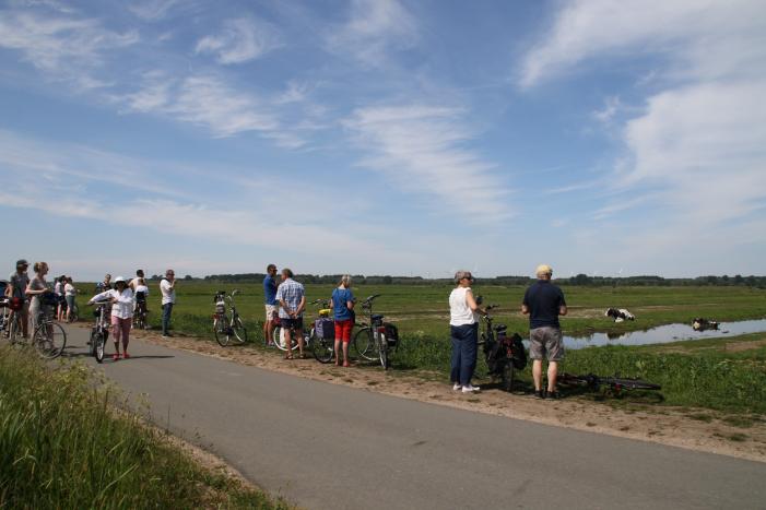Koe belandt in sloot, en komt er niet meer uit