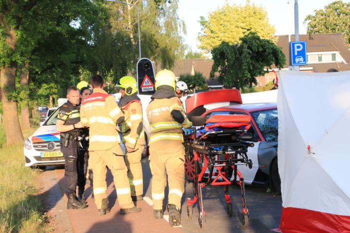 Auto total-loss na frontale aanrijding met boom
