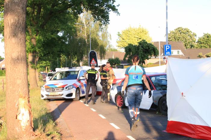 Auto total-loss na frontale aanrijding met boom