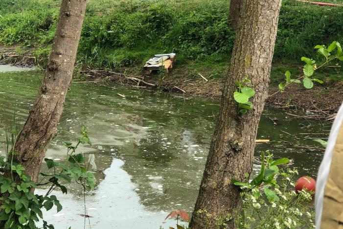 Dode vissen in vijver aangetroffen