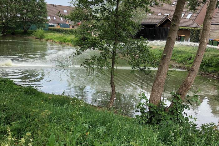 Dode vissen in vijver aangetroffen