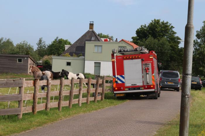 Paard belandt te water