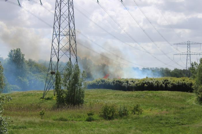Grote brand in natuurgebied