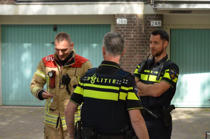 Brand in flatwoning