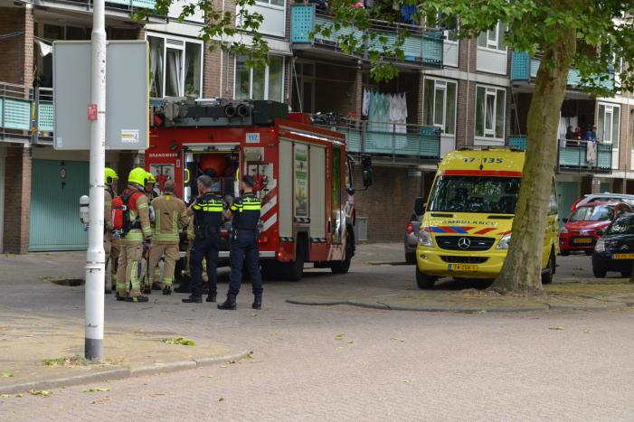 Brand in flatwoning