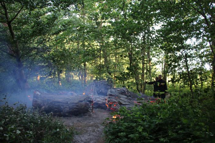 Flinke rookontwikkeling bij brand in meerdere boomstammen