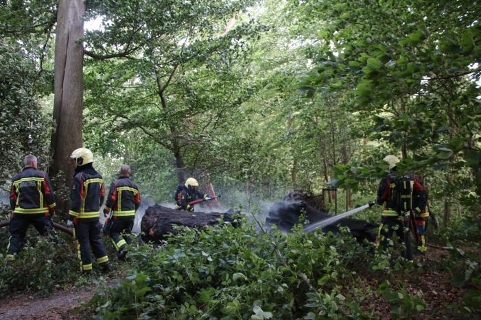 Flinke rookontwikkeling bij brand in meerdere boomstammen