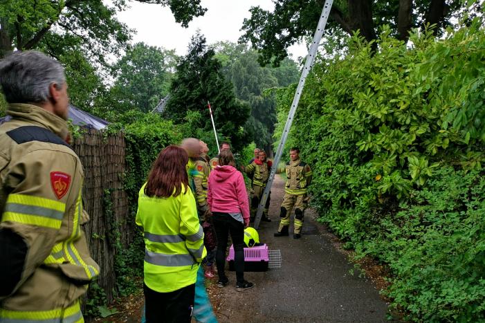 Tolhuislaan 112 melding Ede 
