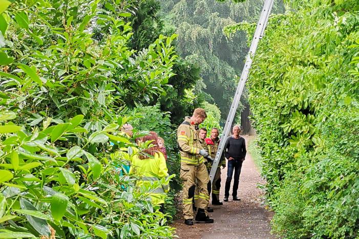 Eigenwijze poes houdt de buurt bezig