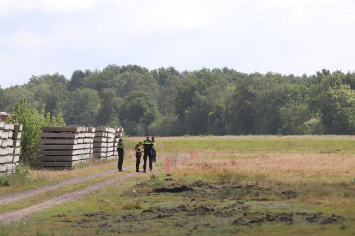 Loslopende schapen langs snelweg