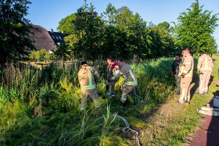 Paard in sloot overleden