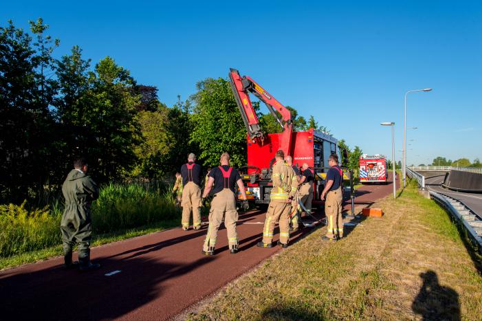 Paard in sloot overleden