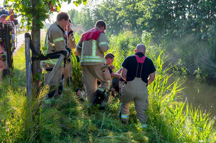 Paard in sloot overleden