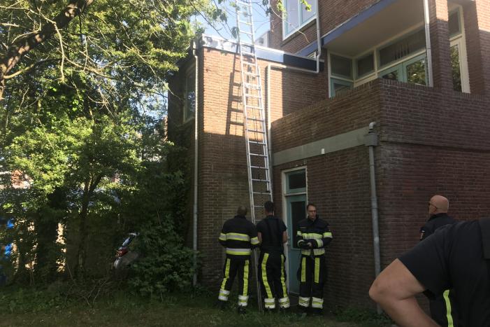 Kat vlucht van dak bij het zien van de brandweer