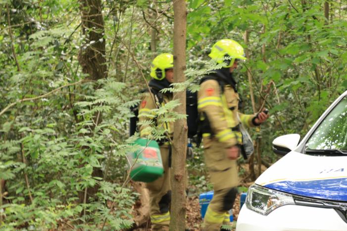 Drugsdumping blijkt drinkwater voor schapen