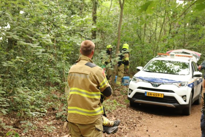 Drugsdumping blijkt drinkwater voor schapen