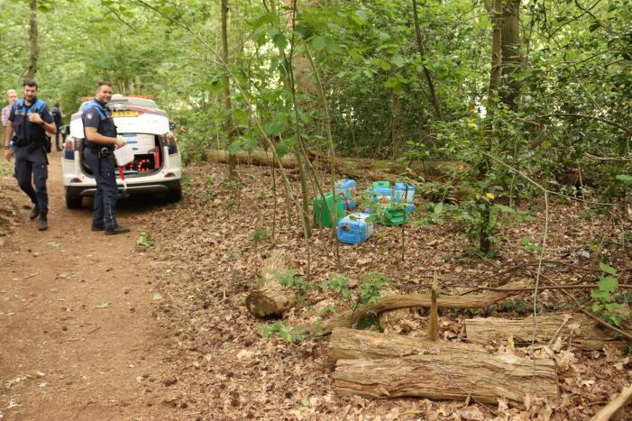 Drugsdumping blijkt drinkwater voor schapen