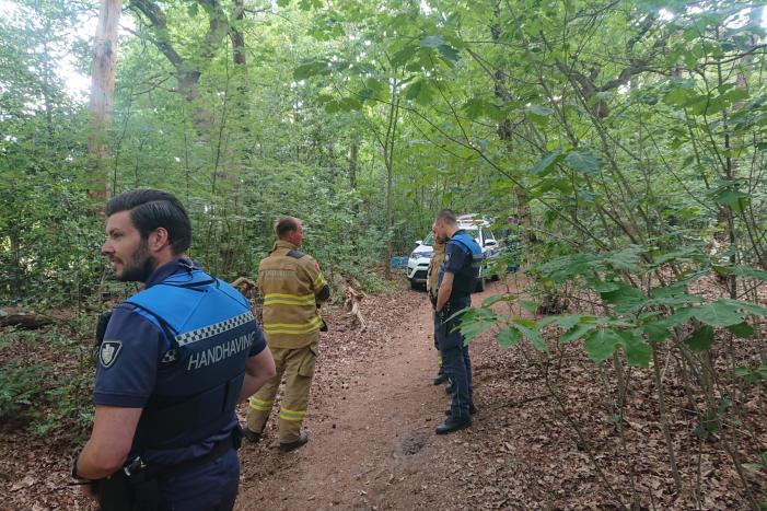 Drugsdumping blijkt drinkwater voor schapen