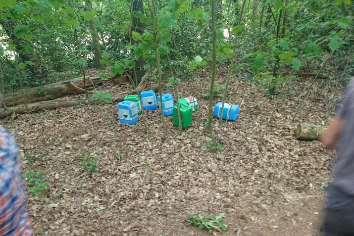 Drugsdumping blijkt drinkwater voor schapen