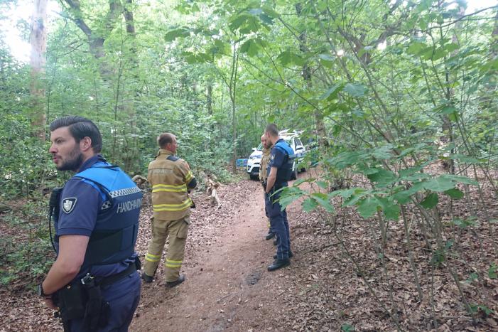 Drugsdumping blijkt drinkwater voor schapen