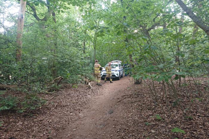 Drugsdumping blijkt drinkwater voor schapen