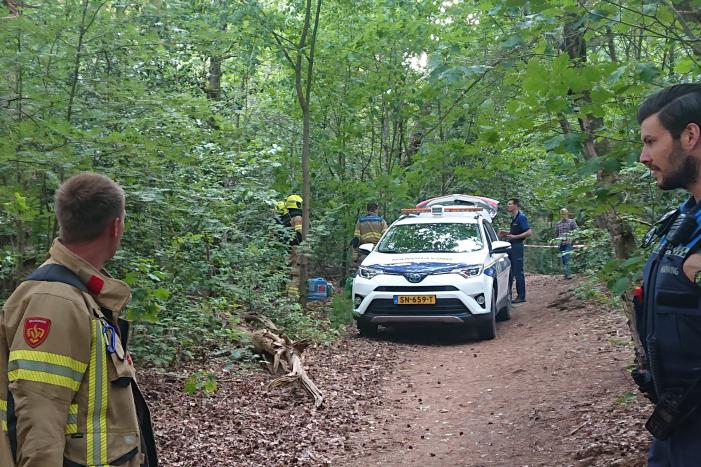 Drugsdumping blijkt drinkwater voor schapen