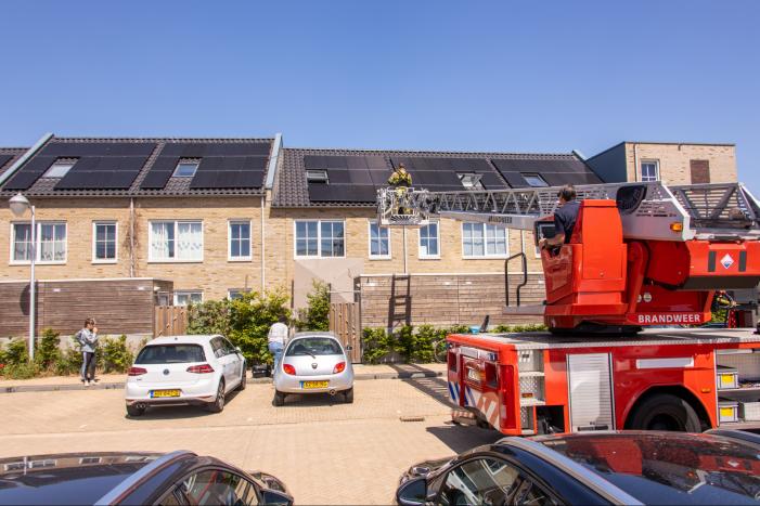 Kat Pumba vast in dakgoot