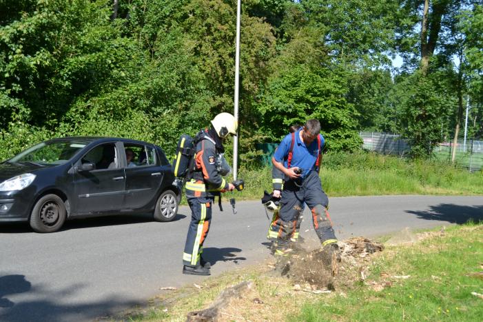 Brandende boomstronk snel geblust door omstanders