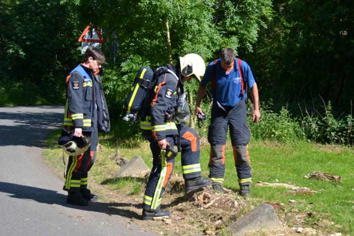 Brandende boomstronk snel geblust door omstanders
