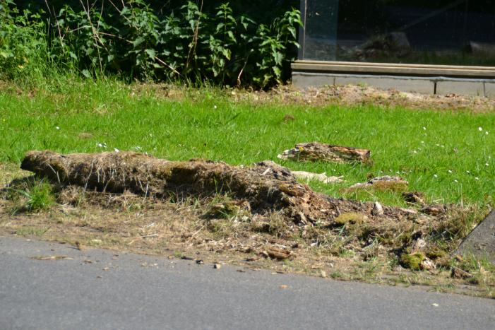 Brandende boomstronk snel geblust door omstanders