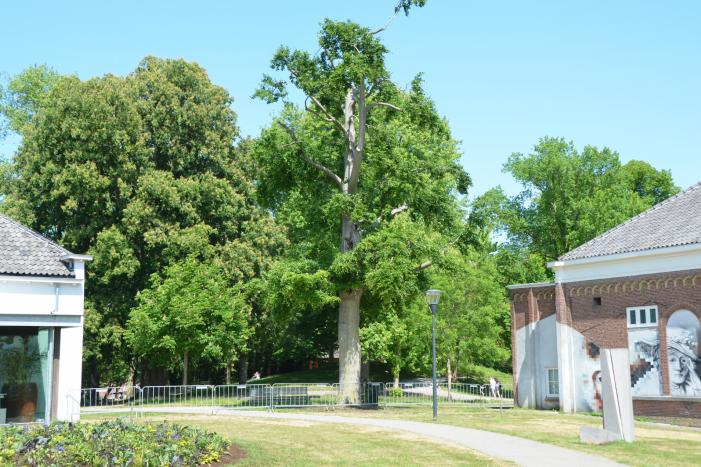 Stadspark afgesloten vanwege corona maatregelen