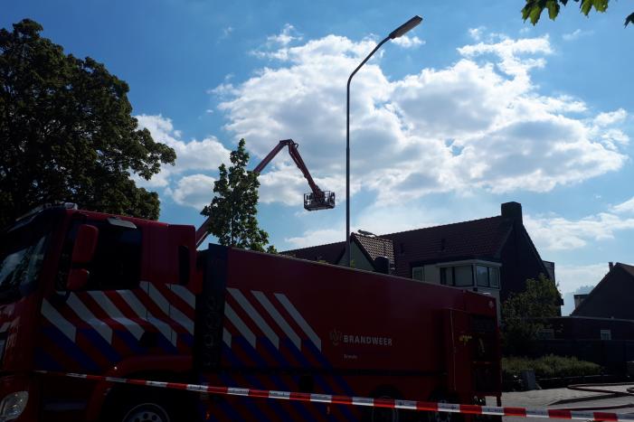 Veel rook bij brand in meerdere schuren
