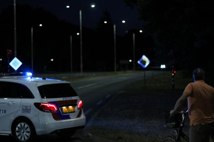 Automobilist (18) overleden na crash tegen boom