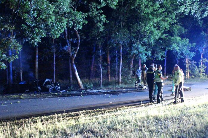 Automobilist (18) overleden na crash tegen boom