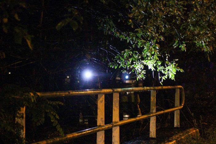 Brand in bos snel onder controle