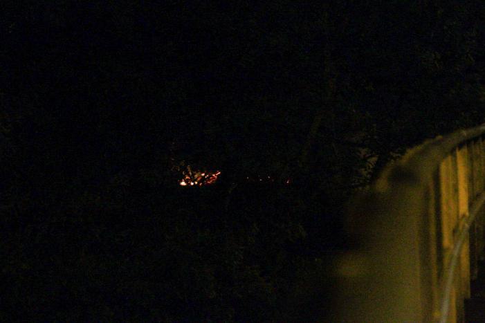 Brand in bos snel onder controle