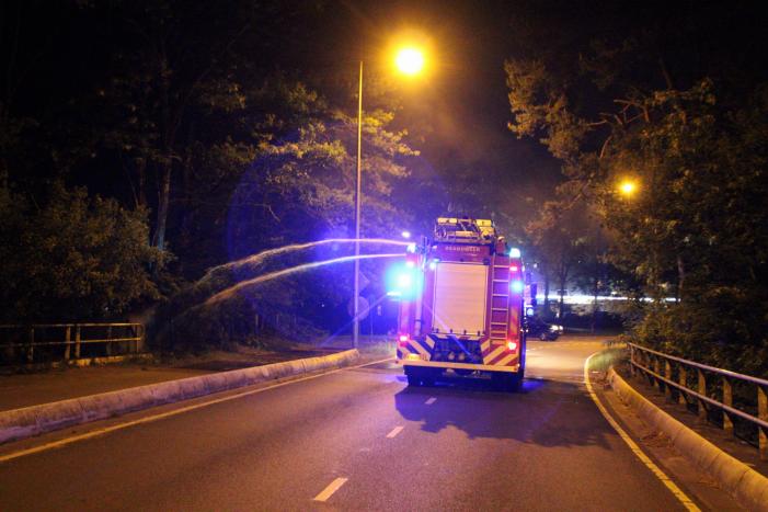 Brand in bos snel onder controle
