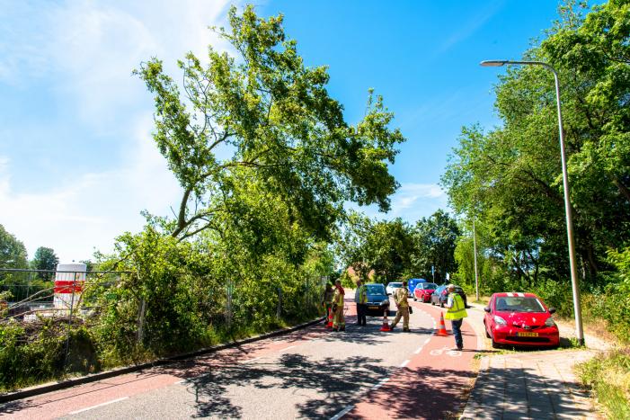 Brandweer verwijderd scheef hangende boom