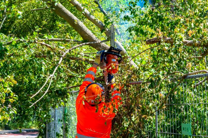 Brandweer verwijderd scheef hangende boom
