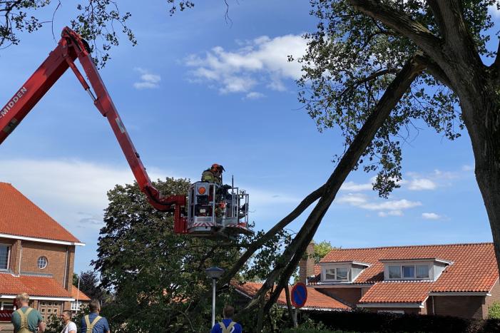 Grote tak breekt af en dreigt te vallen