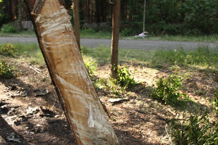 Bloemen neergelegd na tragisch verkeersongeval