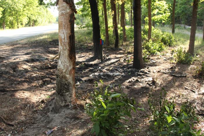 Bloemen neergelegd na tragisch verkeersongeval