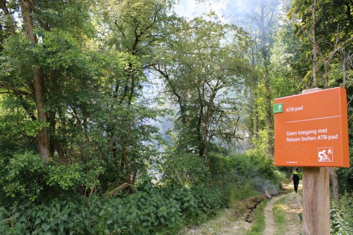 Veel rook bij brand in bosgebied