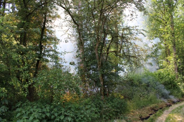 Veel rook bij brand in bosgebied