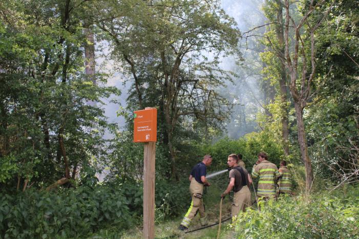 Veel rook bij brand in bosgebied