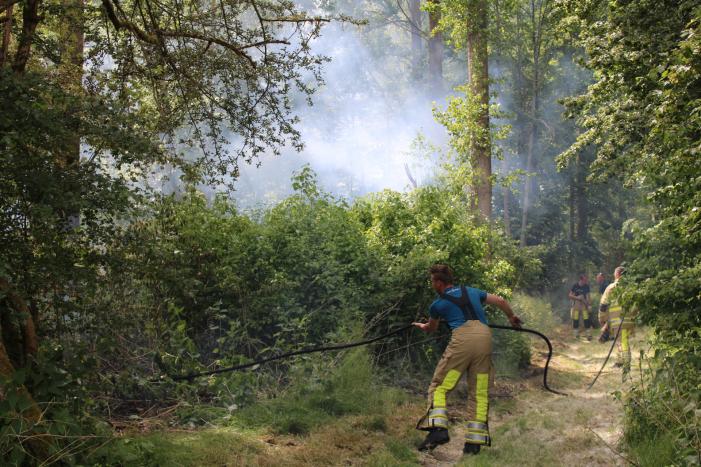 Veel rook bij brand in bosgebied