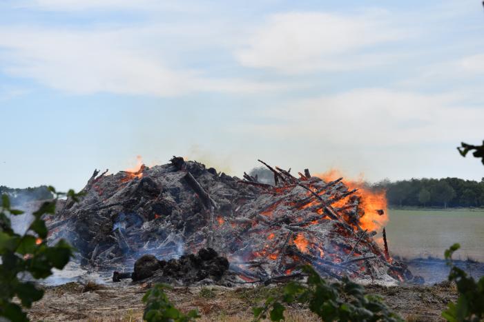 Grote hoop met bomen in brand